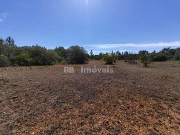 Terreno Agricola ou Rústico para Venda em Zibreira