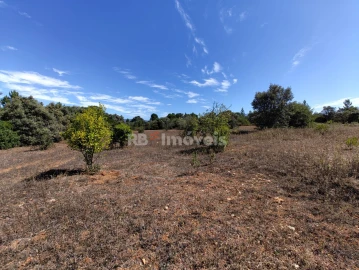 Terreno Agricola ou Rústico para Venda em Zibreira