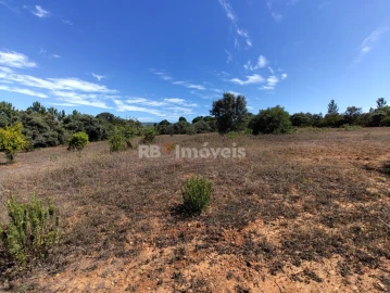 Terreno Agricola ou Rústico para Venda em Zibreira