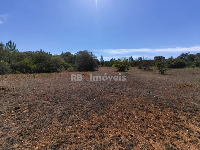 Terreno Agricola ou Rústico para Venda em Zibreira Foto 3