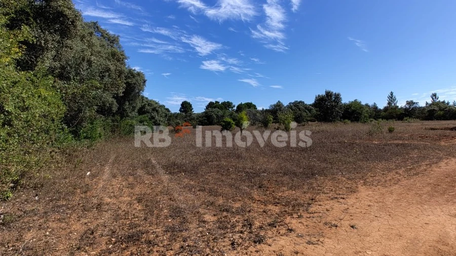 Terreno Agricola ou Rústico para Venda em Zibreira