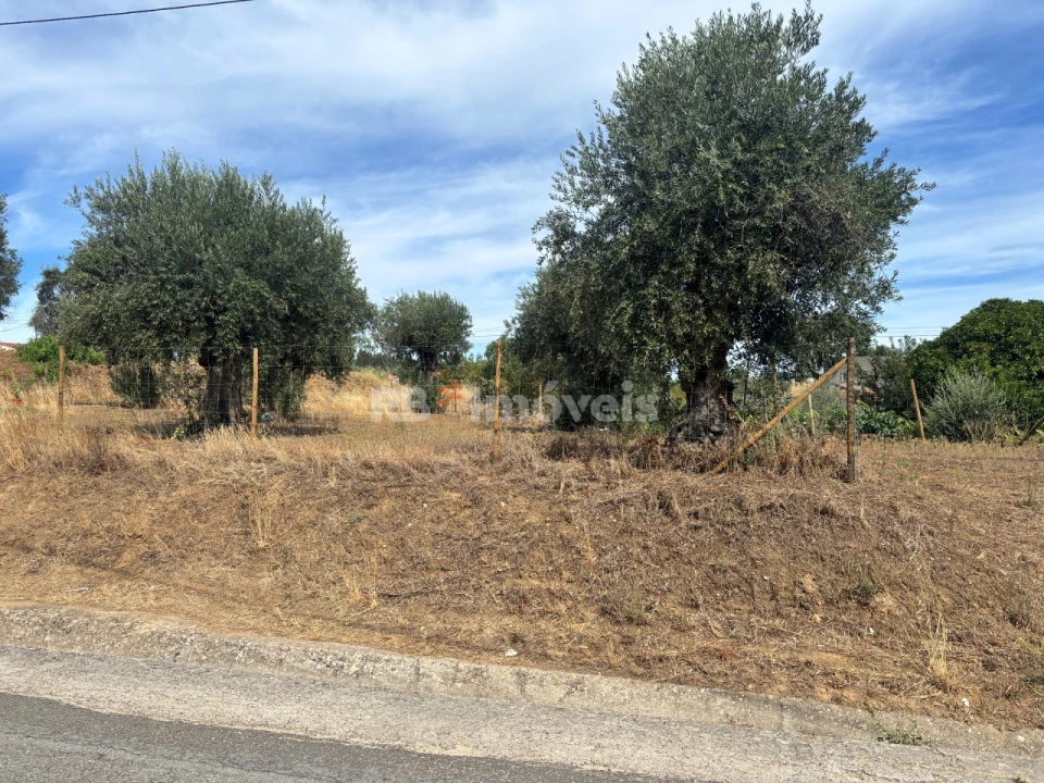 Terreno para Venda em Praia do Ribatejo Foto 3