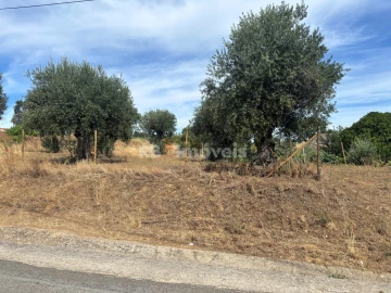 Terreno para Venda em Praia do Ribatejo