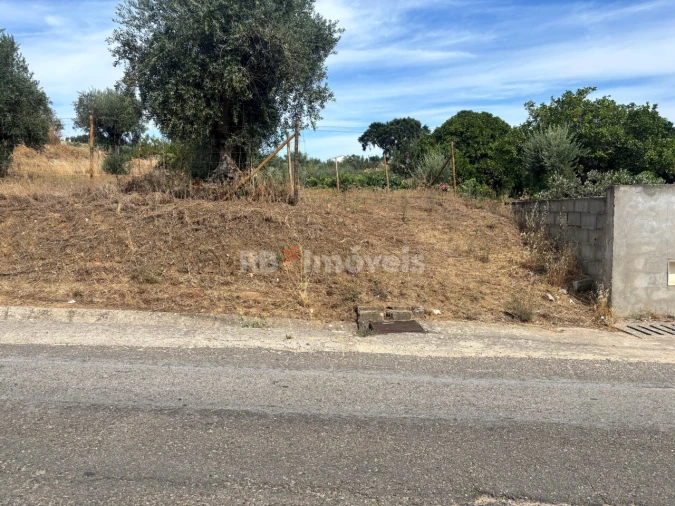 Terreno para Venda em Praia do Ribatejo Foto 4