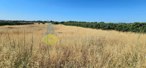 Terreno Agricola ou Rústico para Venda em São Bartolomeu de Messines