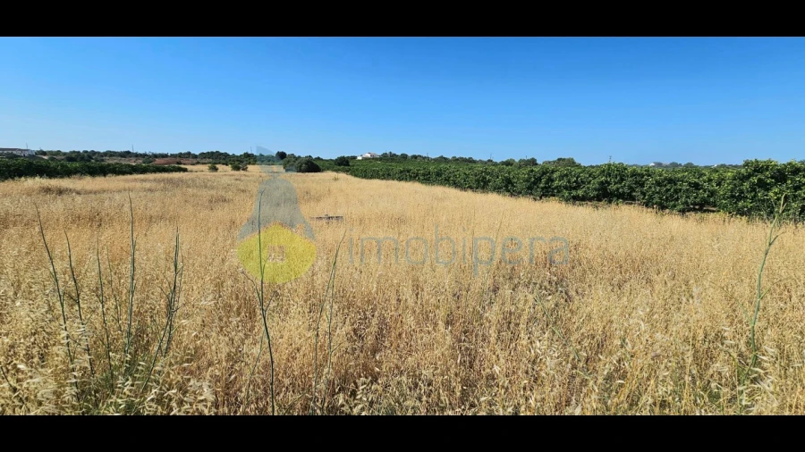 Terreno Agricola ou Rústico para Venda em São Bartolomeu de Messines