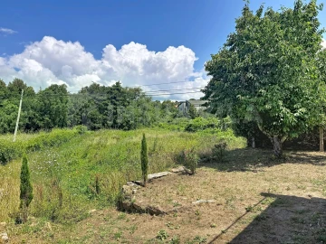 Moradia T3 para Venda em Argela