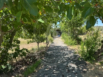 Moradia T6 para Venda em São João Baptista e Santa Maria dos Olivais