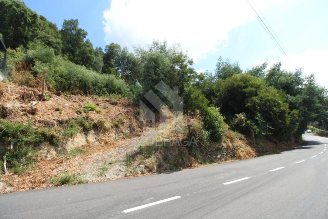 Terreno para Venda em Nogueiró e Tenões Foto 14