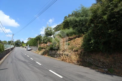 Terreno para Venda em Nogueiró e Tenões