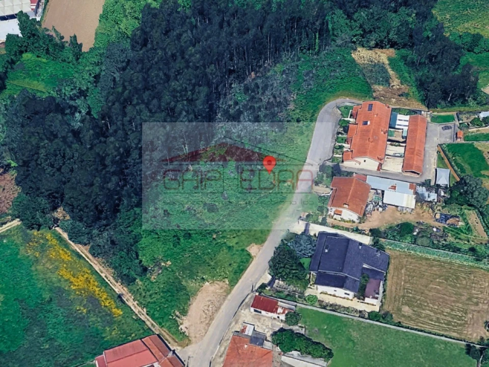 Terreno para Venda em Angeja Foto 8