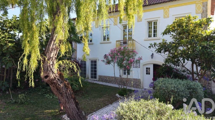 Quinta T10 para Venda em Nossa Senhora do Pópulo, Coto e São Gregório Foto 6