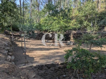 Moradia T3 para Venda em Arega