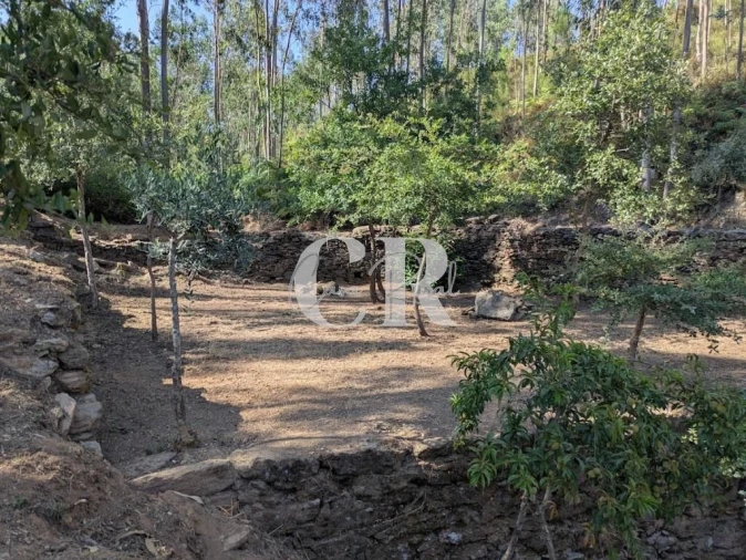 Moradia T3 para Venda em Arega Foto 36