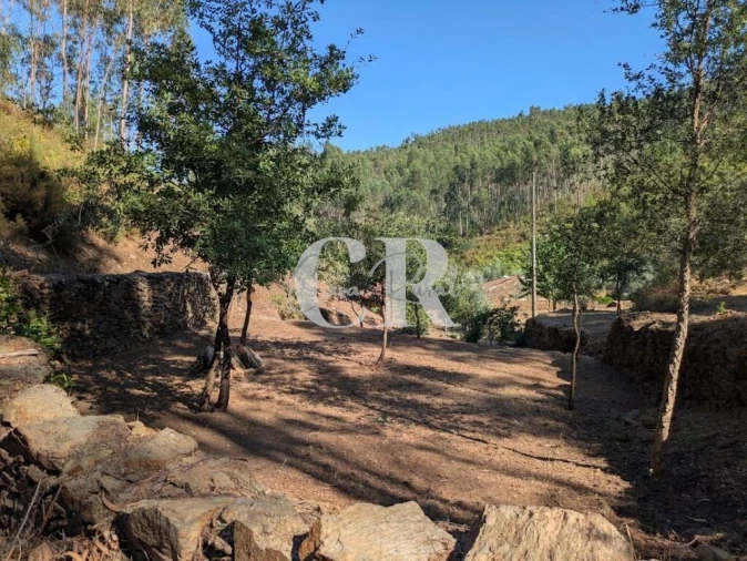 Moradia T3 para Venda em Arega Foto 37