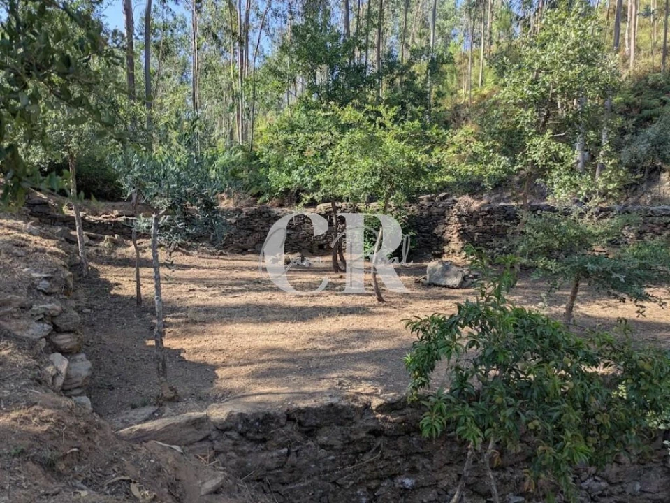 Moradia T3 para Venda em Arega Foto 36
