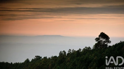 Negócio para Venda em Cerdeira e Moura da Serra
