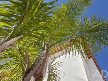 Negócio para Venda em Cerdeira e Moura da Serra
