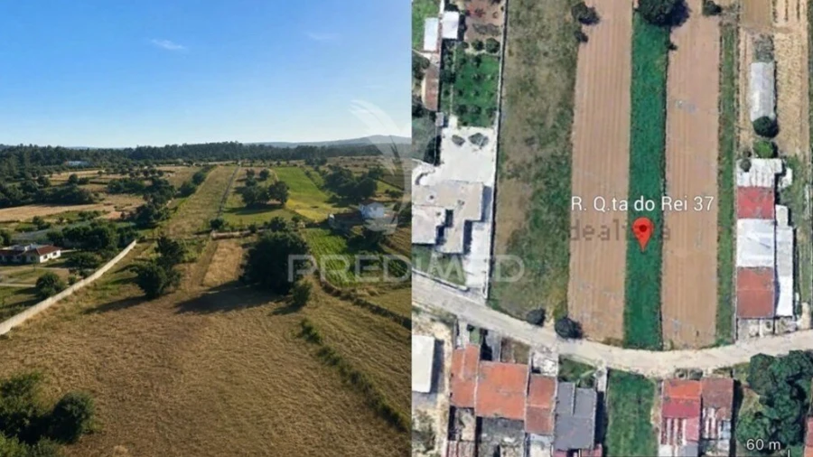 Terreno para Venda em Fermentelos