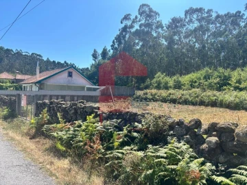 Terreno para Venda em Pico de Regalados, Gondiães e Mós