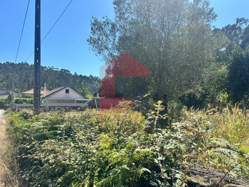 Terreno para Venda em Pico de Regalados, Gondiães e Mós Foto 5