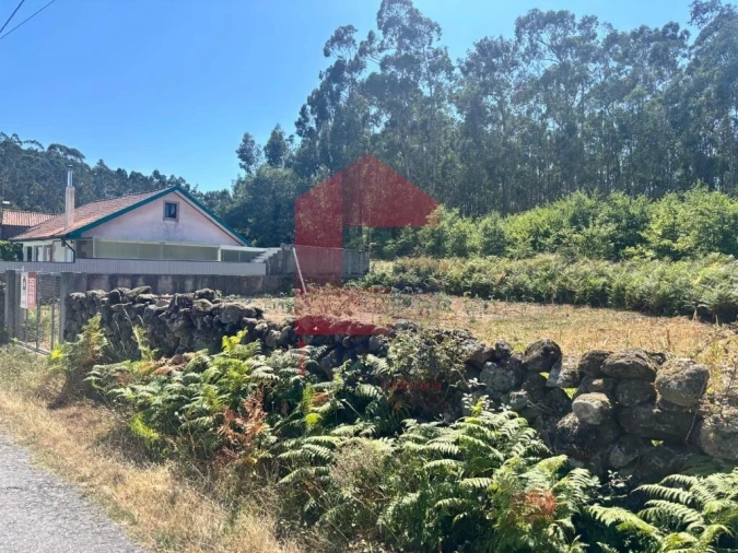 Terreno para Venda em Pico de Regalados, Gondiães e Mós Foto 7