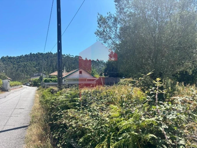Terreno para Venda em Pico de Regalados, Gondiães e Mós Foto 6