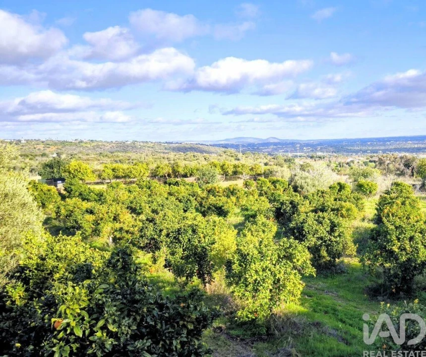Terreno para Venda em Ferreiras Foto 6