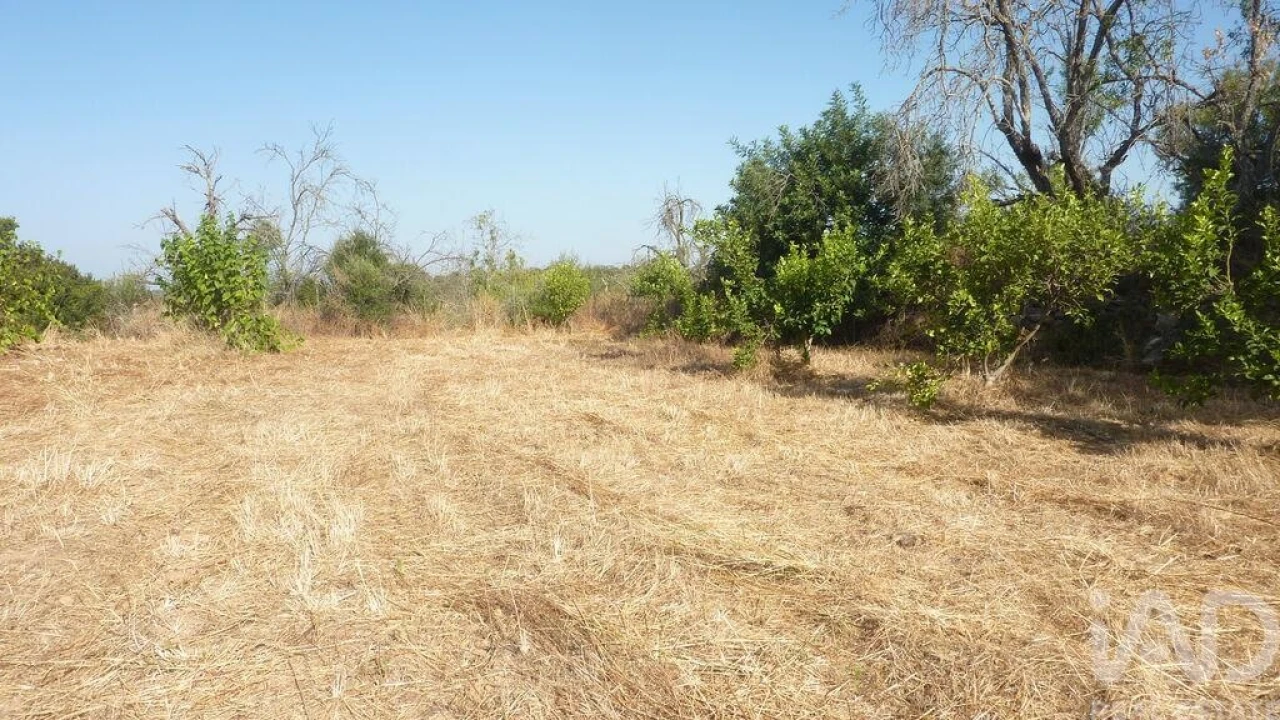 Terreno para Venda em Ferreiras Foto 7