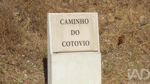 Terreno para Venda em Ferreiras