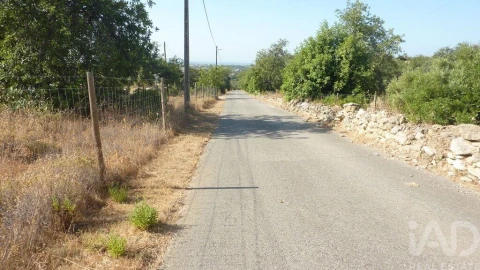 Terreno para Venda em Ferreiras