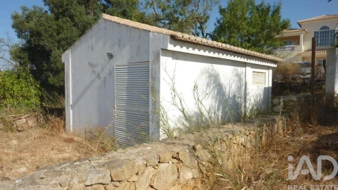 Terreno para Venda em Ferreiras