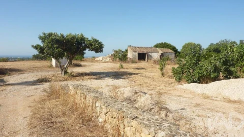 Terreno para Venda em Ferreiras