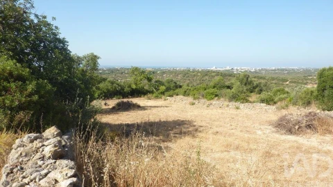 Terreno para Venda em Ferreiras