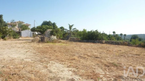 Terreno para Venda em Ferreiras
