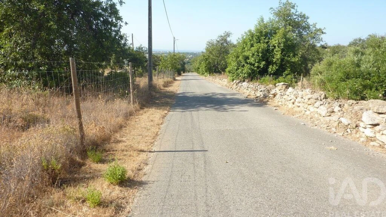 Terreno para Venda em Ferreiras Foto 5