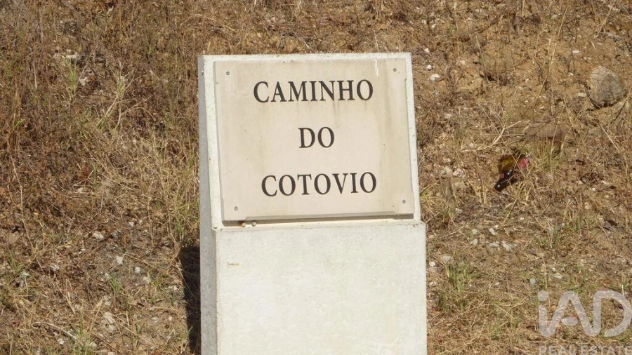 Terreno para Venda em Ferreiras Foto 3