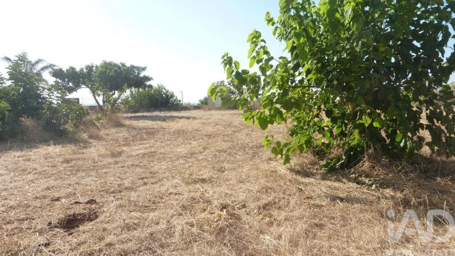 Terreno para Venda em Ferreiras Foto 10