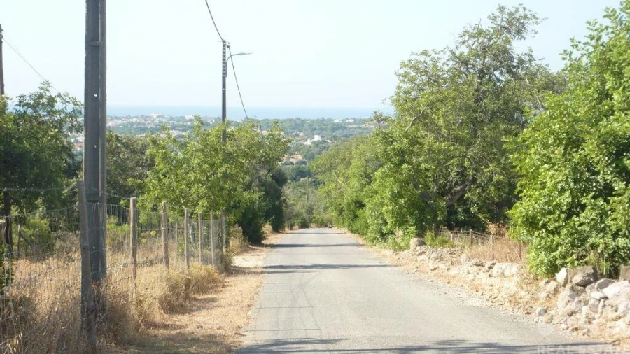 Terreno para Venda em Ferreiras Foto 4