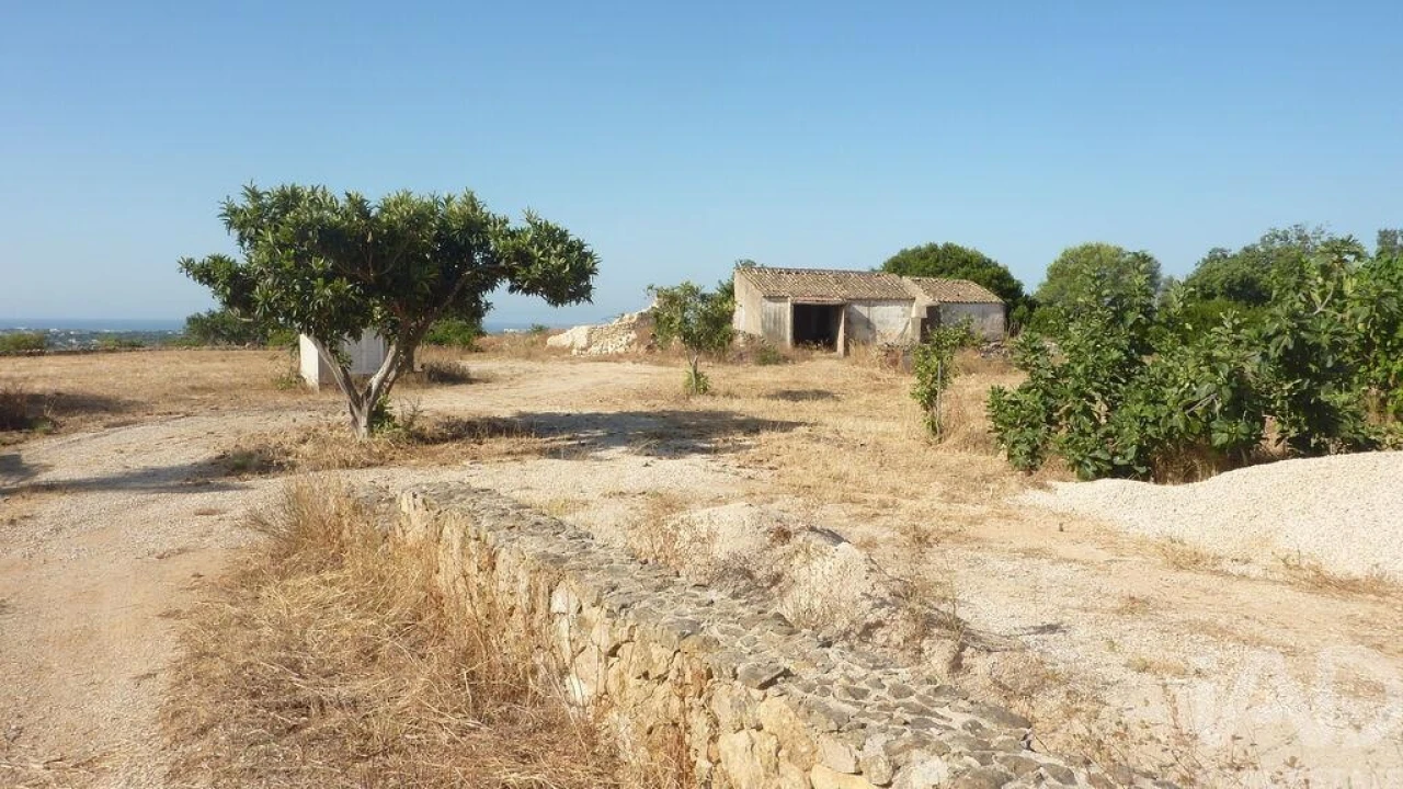 Terreno para Venda em Ferreiras Foto 12