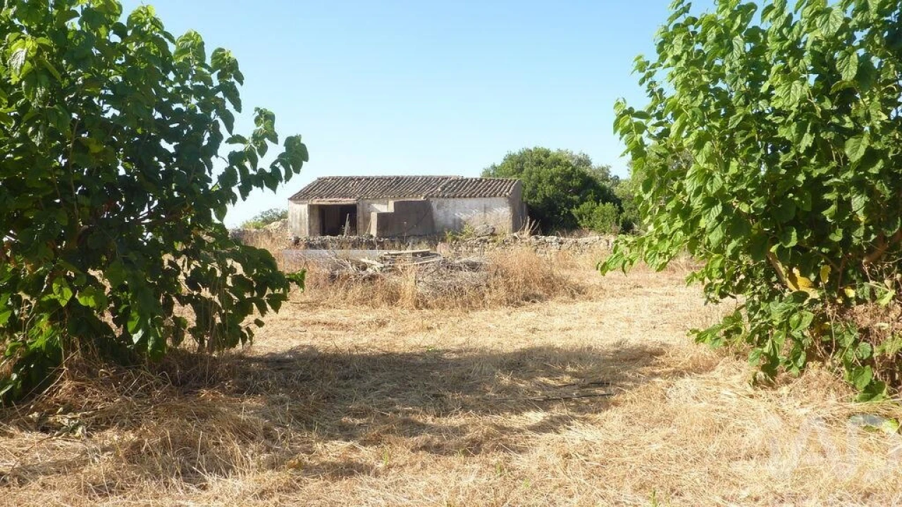 Terreno para Venda em Ferreiras Foto 9