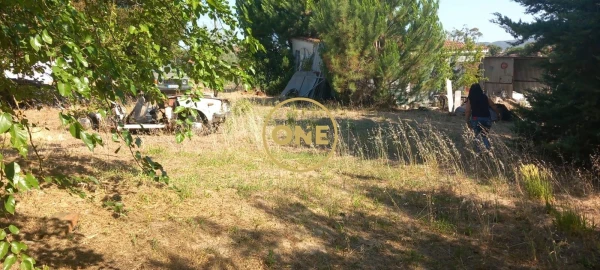 Moradia T3 para Venda em Santa Margarida da Coutada