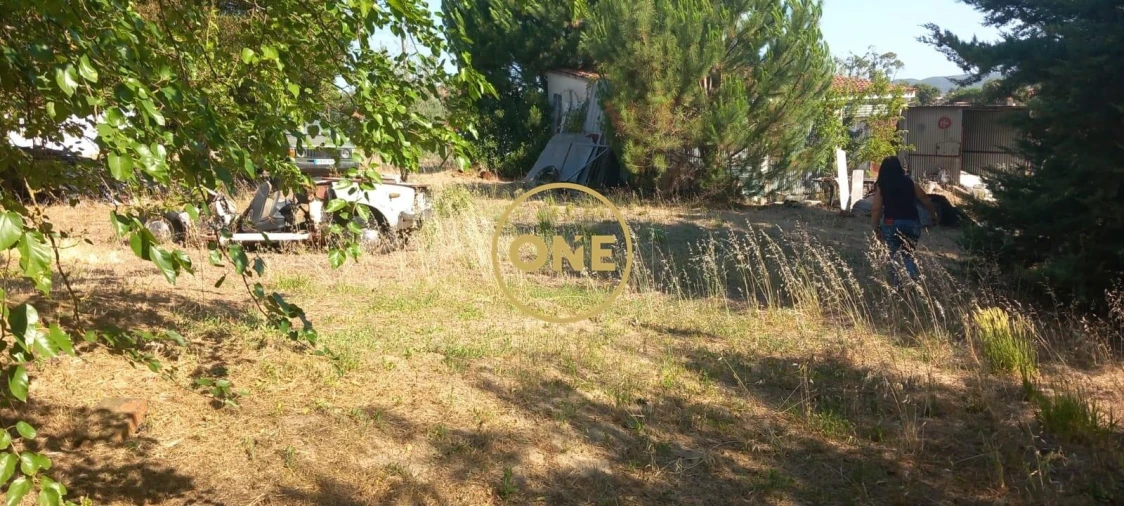 Moradia T3 para Venda em Santa Margarida da Coutada Foto 6