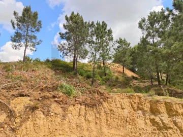 Terreno para Venda em Azambuja