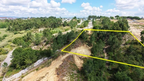 Terreno para Venda em Azambuja