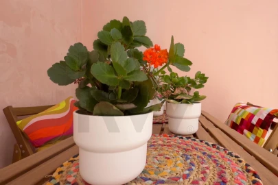 Apartamento T1 para Venda em Arroios