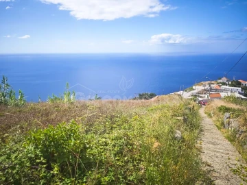 Moradia T2 para Venda em Ribeira Brava