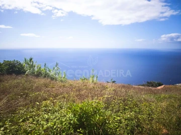 Moradia T2 para Venda em Ribeira Brava