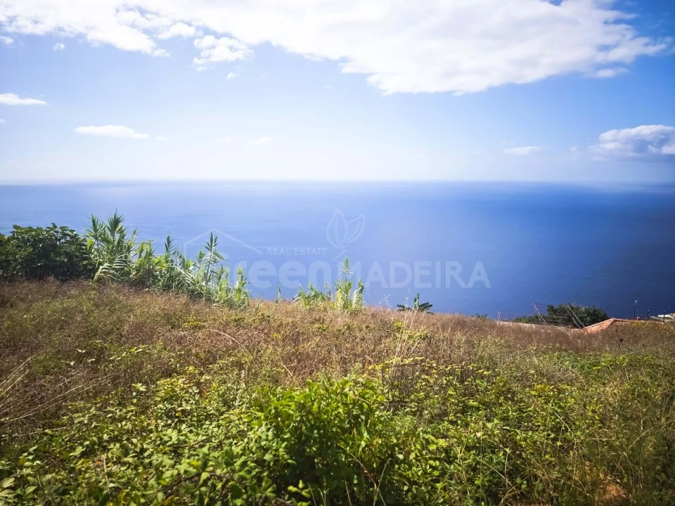 Moradia T2 para Venda em Ribeira Brava Foto 1