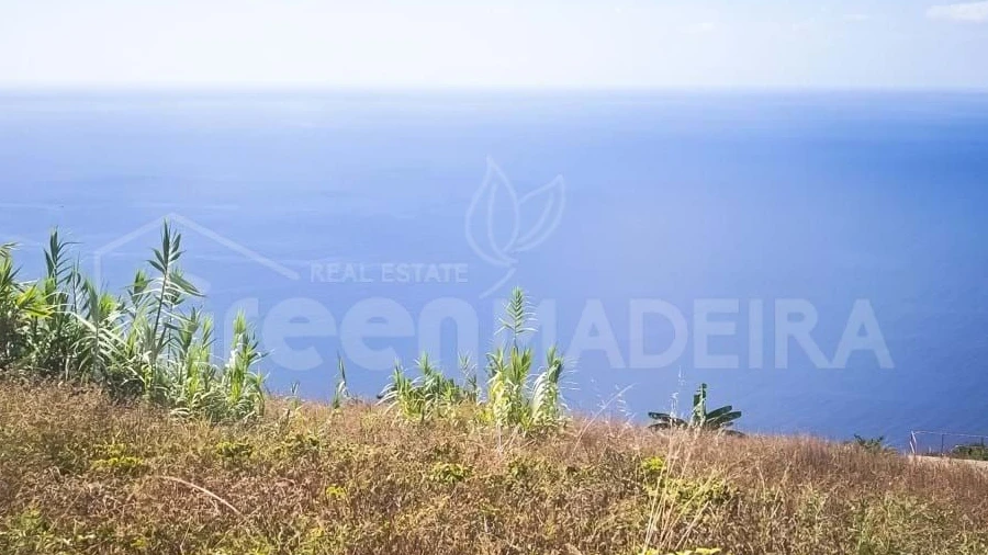 Moradia T2 para Venda em Ribeira Brava